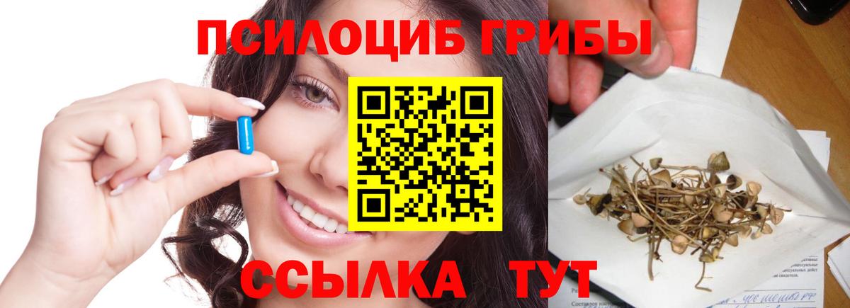 купить наркоту  Вход с VPN  Псилоцибиновые грибы мицелий  Бугуруслан  Галлюциногенные грибы прущие грибы 